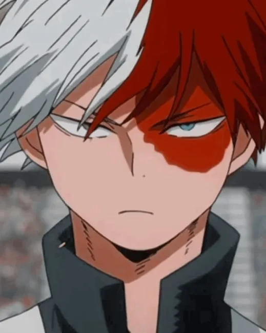 Shoto Todoroki Anime Character Paint By Numbers