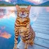 Cute Bengal Cat Paint By Numbers