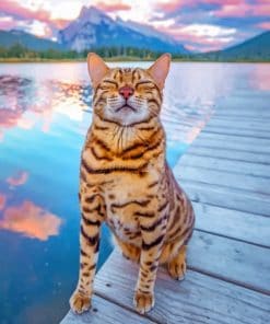 Cute Bengal Cat Paint By Numbers