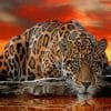 Leopard Water Reflection Paint By Numbers