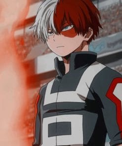 Shoto Todoroki Paint By Numbers