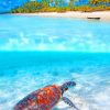 Sea Turtle Underwater Paint By Numbers