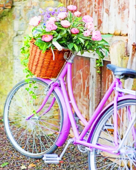Bike With Flowers Basket Paint By Numbers