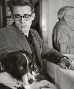 James Dean Paint By Numbers