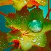 Water Drop Leaves Paint By Numbers