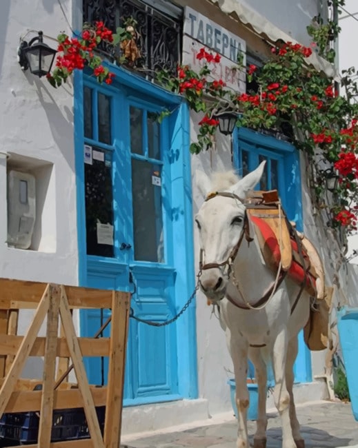 White Donkey In Greece Paint by numbers