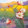 Floral Cactus Paint By Numbers
