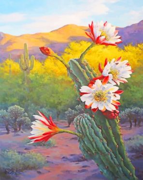 White Red Flowers And Cactus Paint by numbers