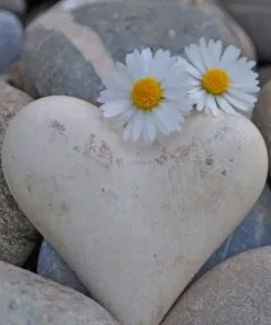 Rock Heart And Flowers Paint By Numbers