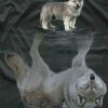 Wolf Reflection paint by numbers