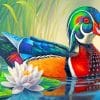 Wood Duck Paint By Numbers