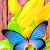 Butterfly On Tulips Paint By Numbers