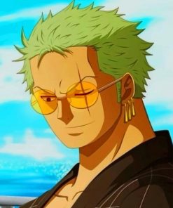 Zoro One piece Paint by numbers