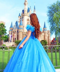 Disney Cinderella Castle Paint by Numbers - Goodnessfind