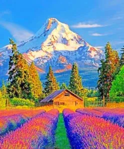 Lavender Valley Farm Paint By Numbers