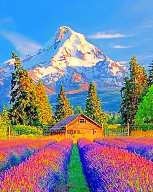 Colorful Fields And Mountains paint by numbers