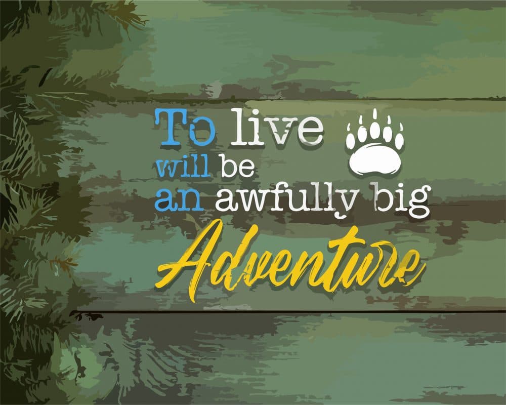 Life Adventure Quotes Paint By Numbers Numeral Paint Kit