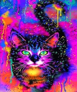 Abstract Colorful Cat Paint By Numbers