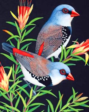 Aesthetic Birds Paint by numbers