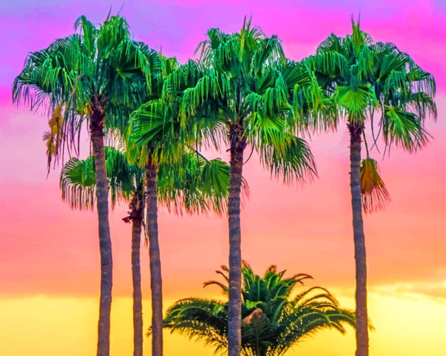 Palm Trees Sunset Paint By Numbers