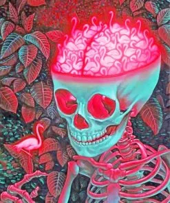 Flamingos Brain skull Paint By Numbers