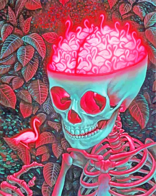 Aesthetic Skull Paint by numbers