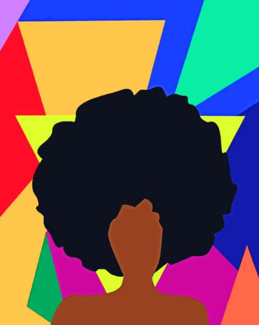 Illustration Afro Girl Paint By Numbers