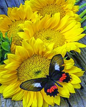 Butterfly And Sunflowers paint by numbers
