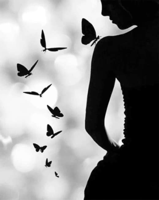 Butterfly Woman SilhouetteButterfly Woman Silhouette Paint by numbers