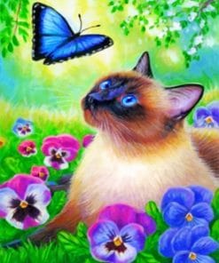 Siamese And Butterfly Paint By Numbers