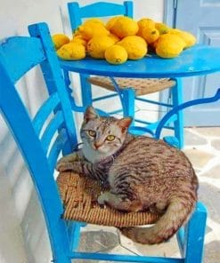 Cat On Chair Paint By Numbers