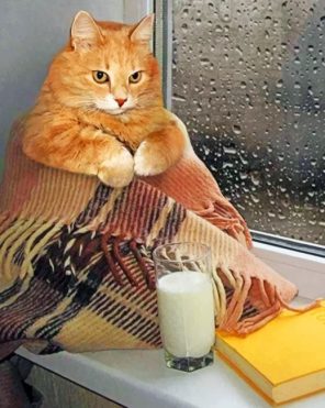 Cat Drinking Hot Milk In A Rainy Day paint by numbers