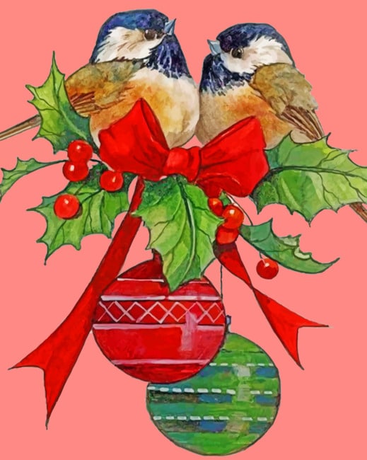 Christmas Birds paint by numbers