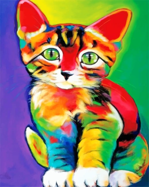 Colorful Cat paint by numbers