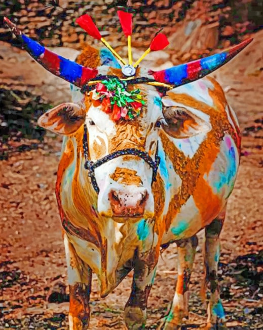 Colorful Cow paint by numbers