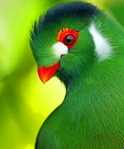 Green Bird Paint by numbers