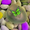 Green Butterfly paint by numbers