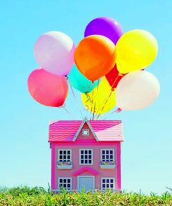 Pink Flying House paint by numbers
