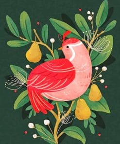 Illustration Red Bird Paint By Numbers