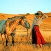 Western Woman paint by numbers