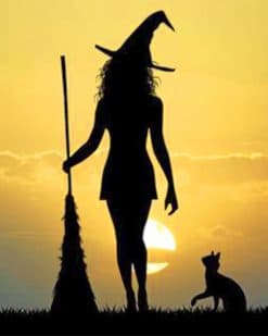 Witch Silhouette Paint By Numbers - Numeral Paint Kit