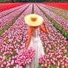 Woman In Pink Tulips Field Paint By Numbers