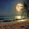 Beach Moonlight paint by number