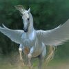 Horse With Wings paint by number