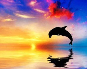 Jumping Dolphin silhouette paint by number