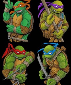 Ninja Turtles Paint By Numbers - Numeral Paint Kit