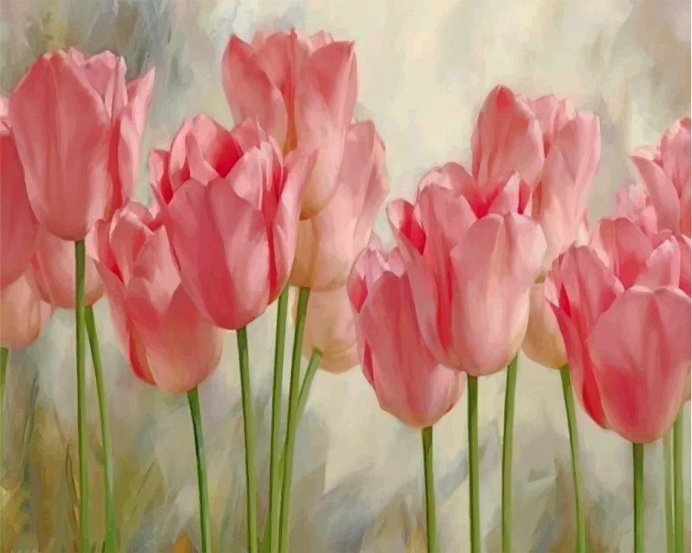 Pink Tulips Paint By Numbers - Numeral Paint Kit