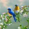 Spring Bluebirds paint by number