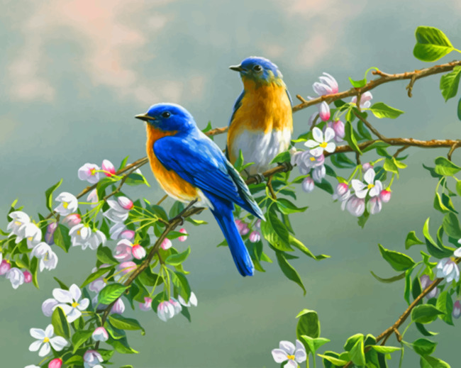 Paint Works Paint By Number Kit 14 x 20 - Garden Bluebirds - Yahoo  Shopping