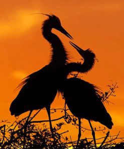 Stork Birds silhouette paint by number